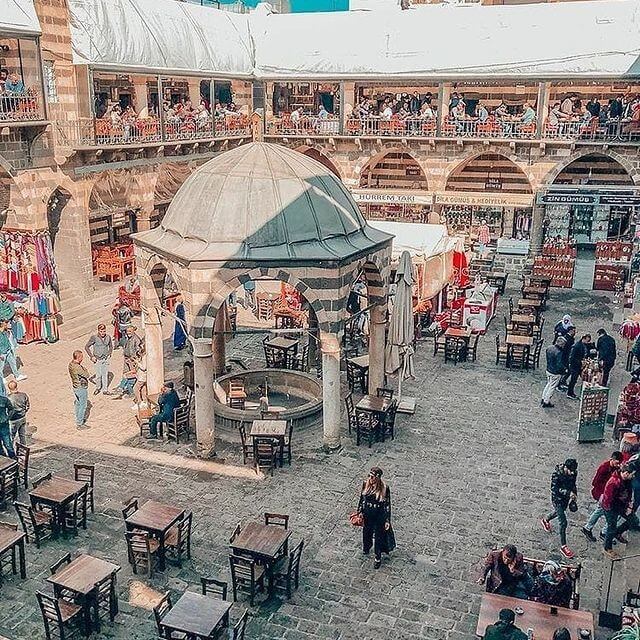 Roarcamp | MEZOPOTAMYA