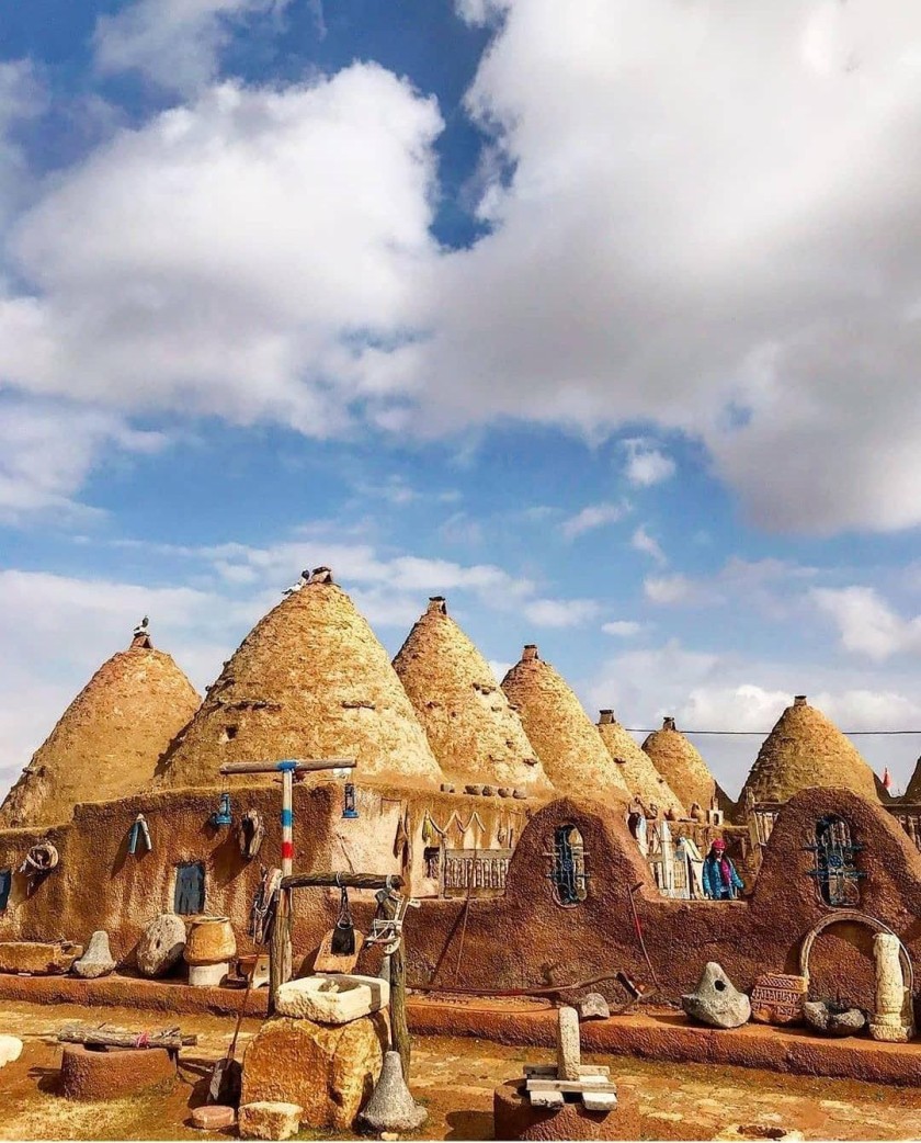 Roarcamp | MEZOPOTAMYA