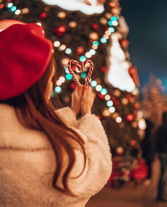 Roarcamp | ALSAS LOREN