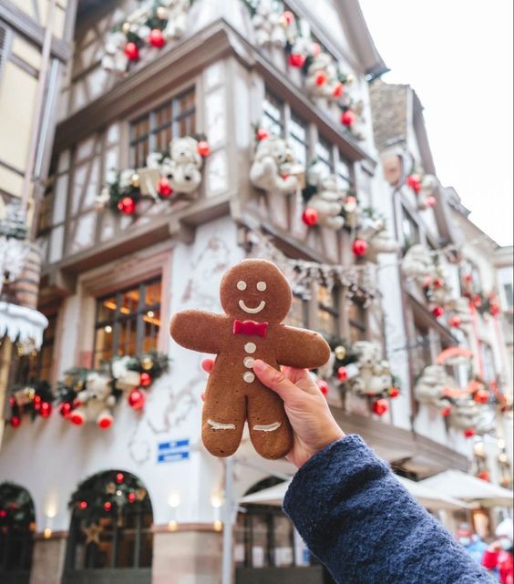 Roarcamp | ALSAS LOREN