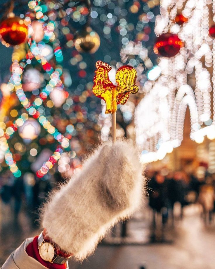 Roarcamp | ALSAS LOREN