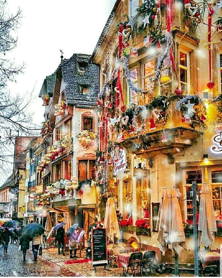 Roarcamp | ALSAS LOREN