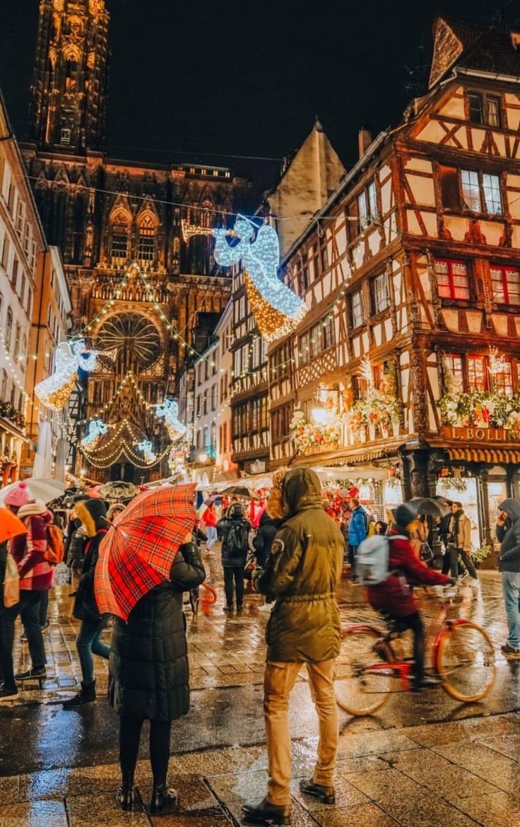 Roarcamp | ALSAS LOREN