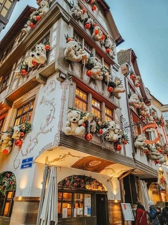 Roarcamp | ALSAS LOREN