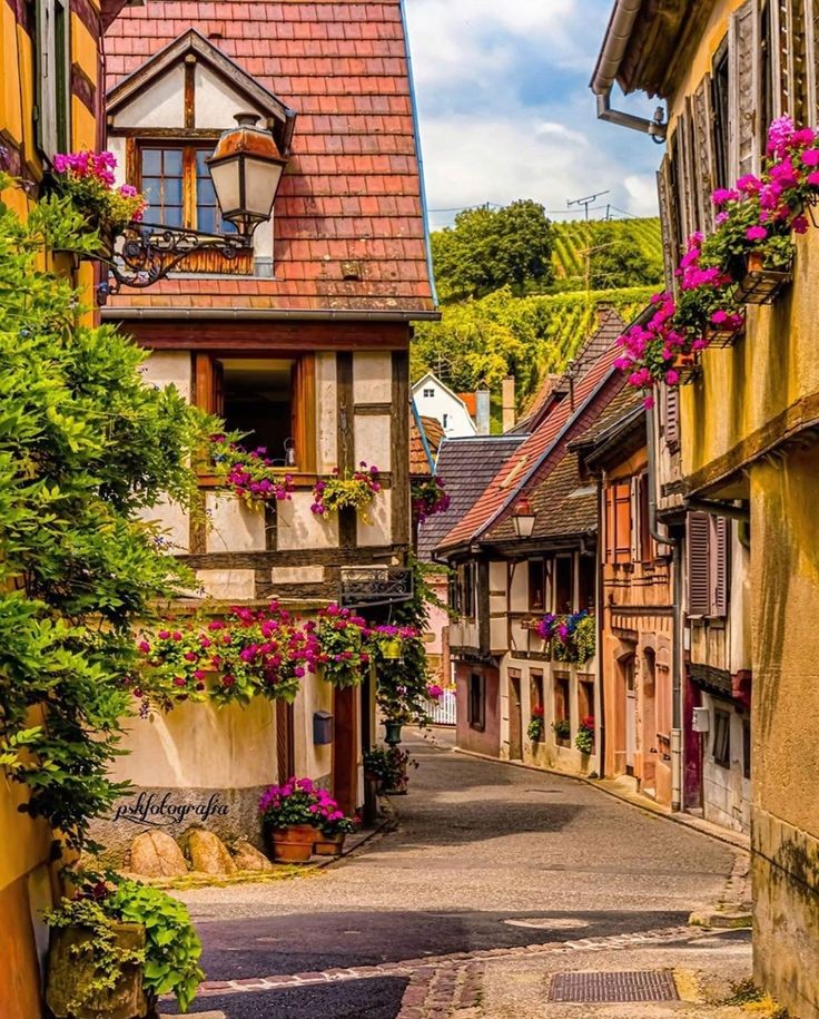 Roarcamp | ALSAS LOREN