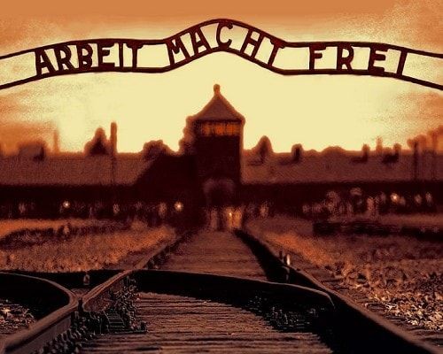 Roarcamp | ALSAS LOREN