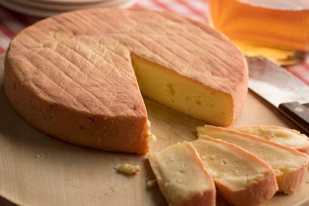 Roarcamp | ALSAS LOREN