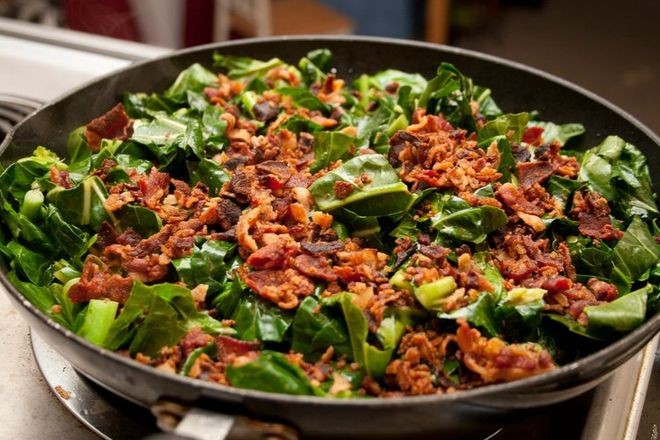 Roarcamp | ADRİYATİK SAHİLLERİ