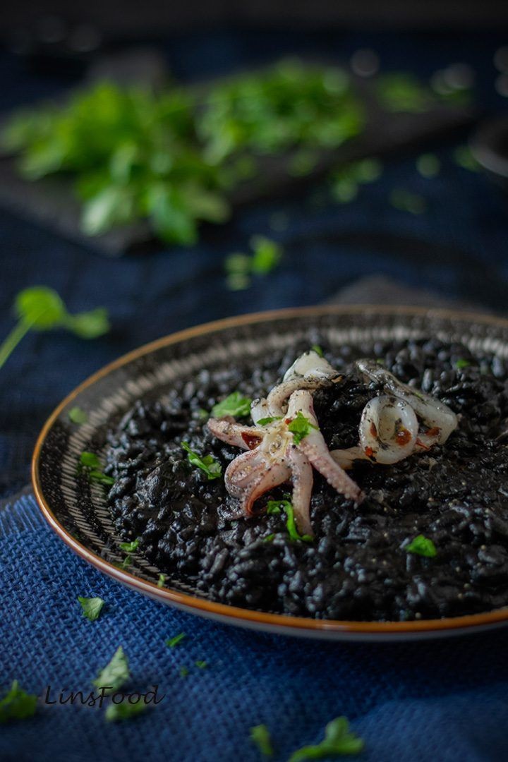 Roarcamp | ADRİYATİK SAHİLLERİ