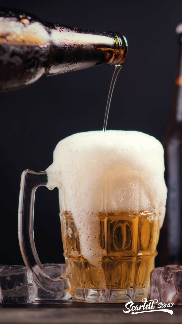 Roarcamp | ADRİYATİK SAHİLLERİ