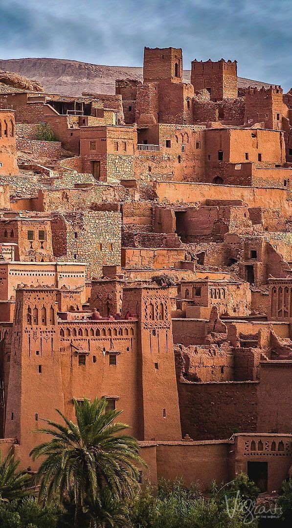 Roarcamp | MOROCCO