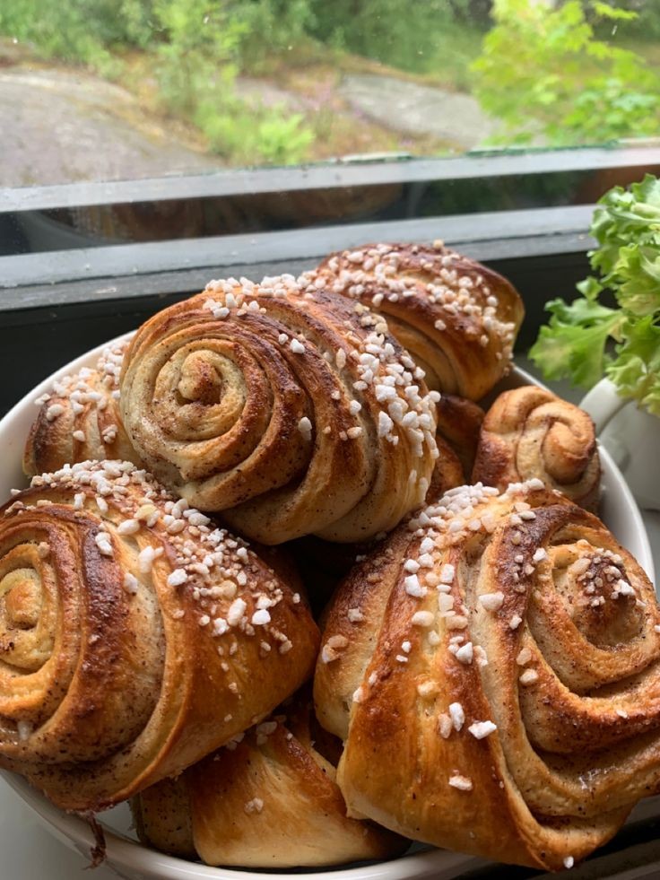 Roarcamp | KUZEY IŞIKLARI