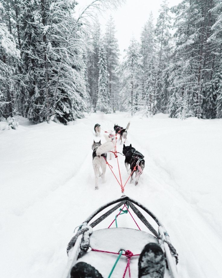 Roarcamp | KUZEY IŞIKLARI
