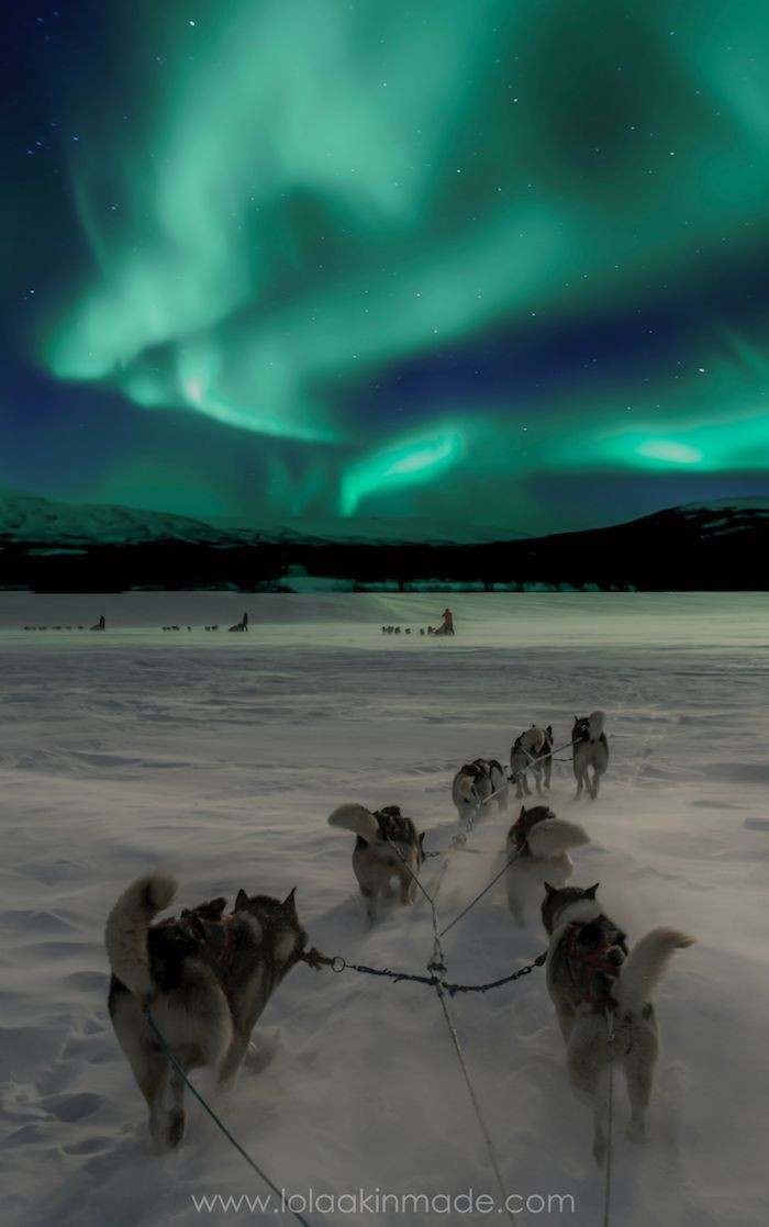 Roarcamp | KUZEY IŞIKLARI
