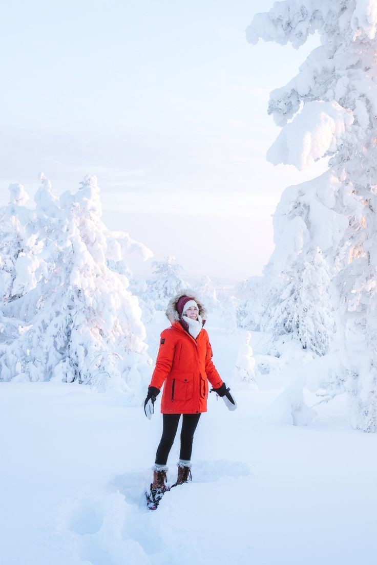 Roarcamp | KUZEY IŞIKLARI