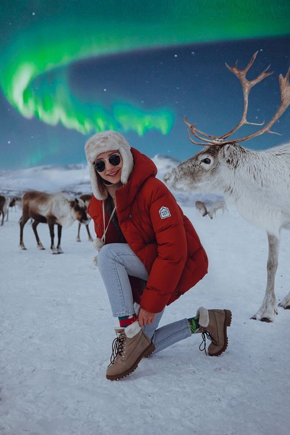 Roarcamp | KUZEY IŞIKLARI