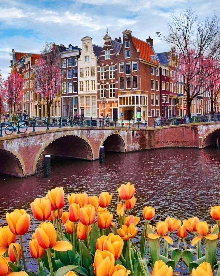 Roarcamp | BENELÜX - FRANSA