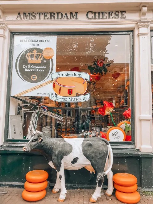 Roarcamp | BENELÜX - FRANSA