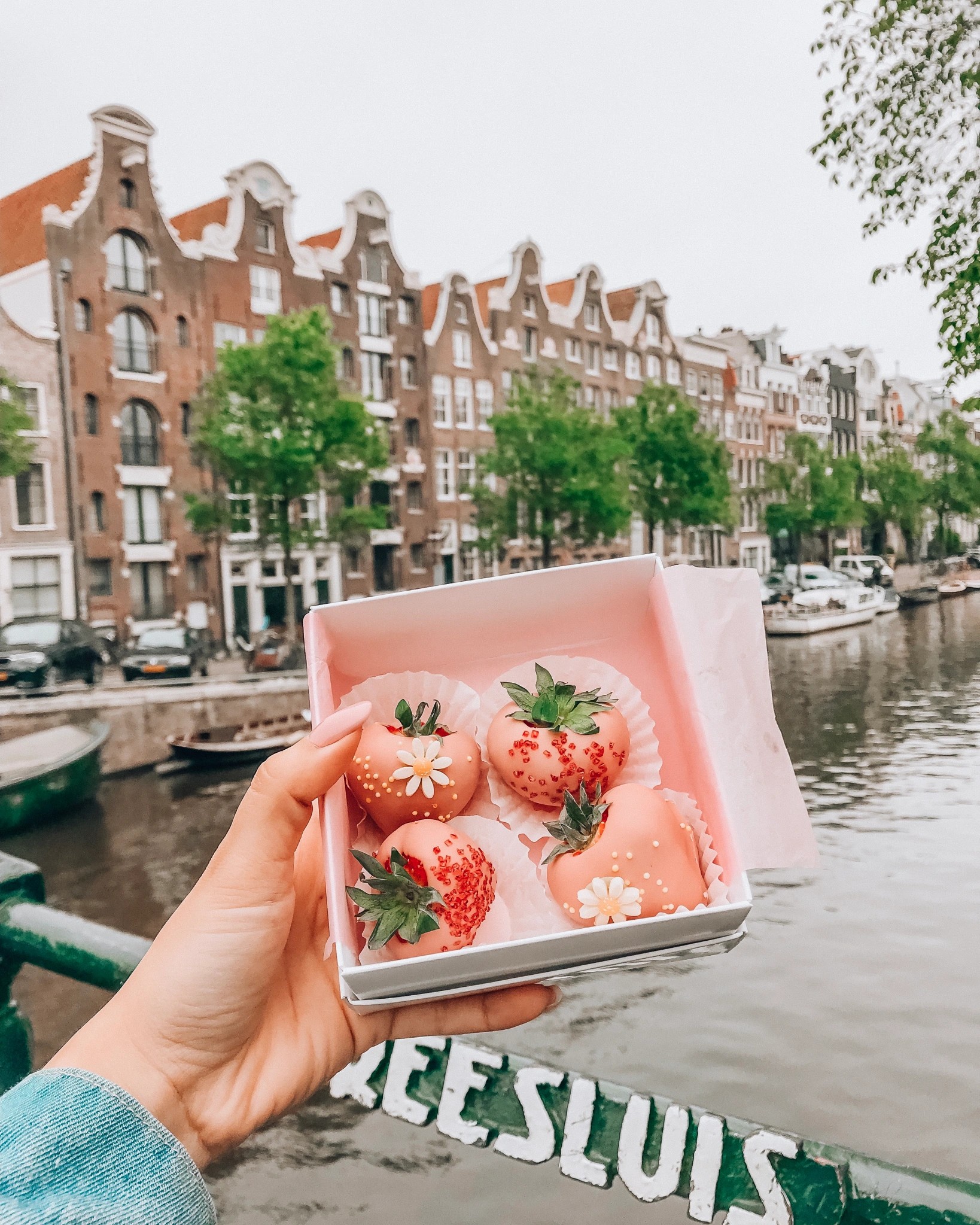 Roarcamp | BENELÜX - FRANSA