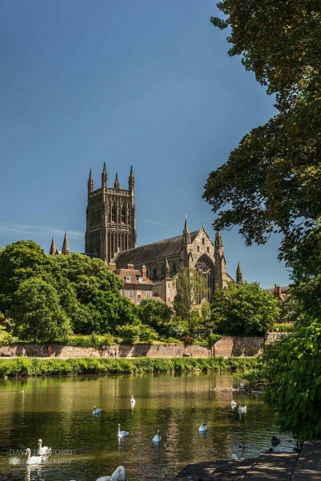 Roarcamp | BRİTANYA