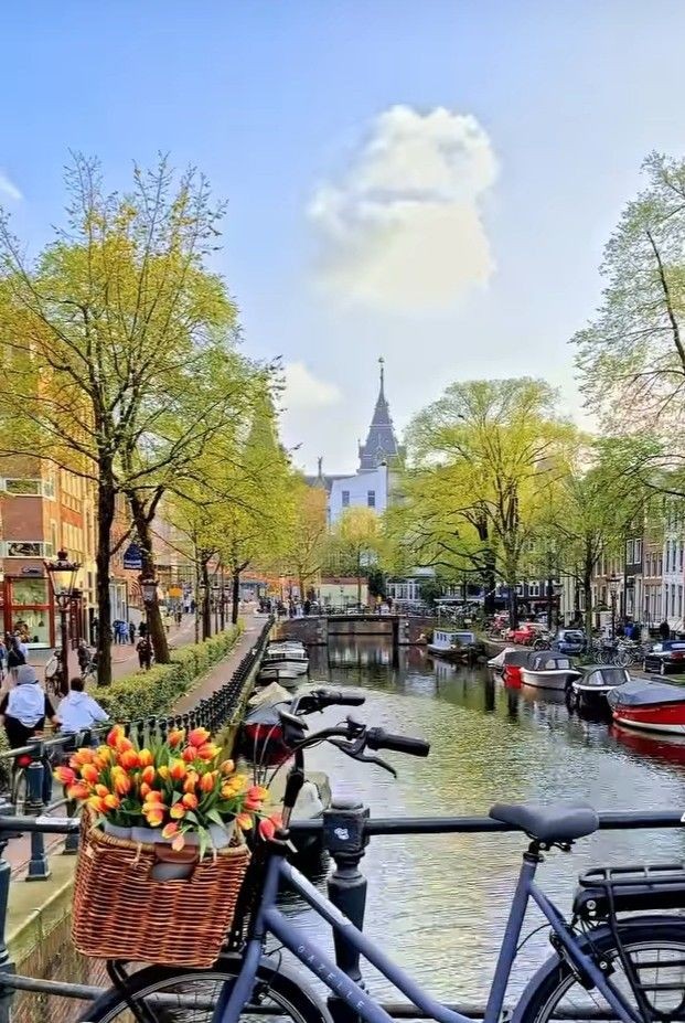 Roarcamp | BENELÜX - FRANSA