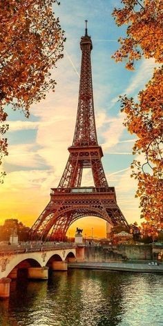 Roarcamp | BENELÜX - FRANSA