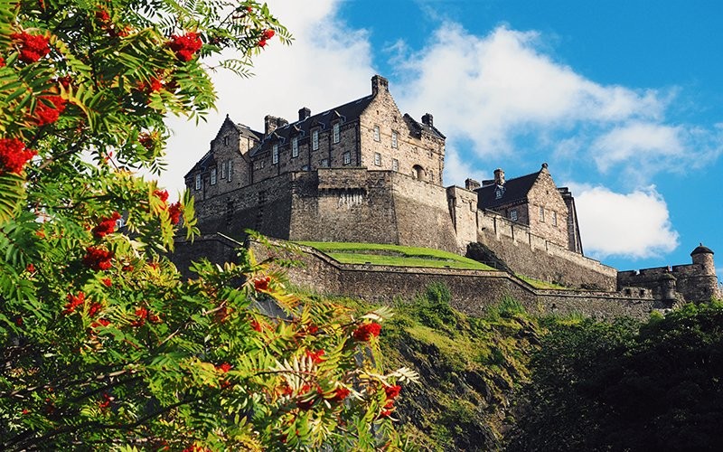 Roarcamp | BRİTANYA