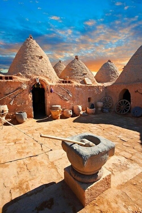 Roarcamp | MEZOPOTAMYA