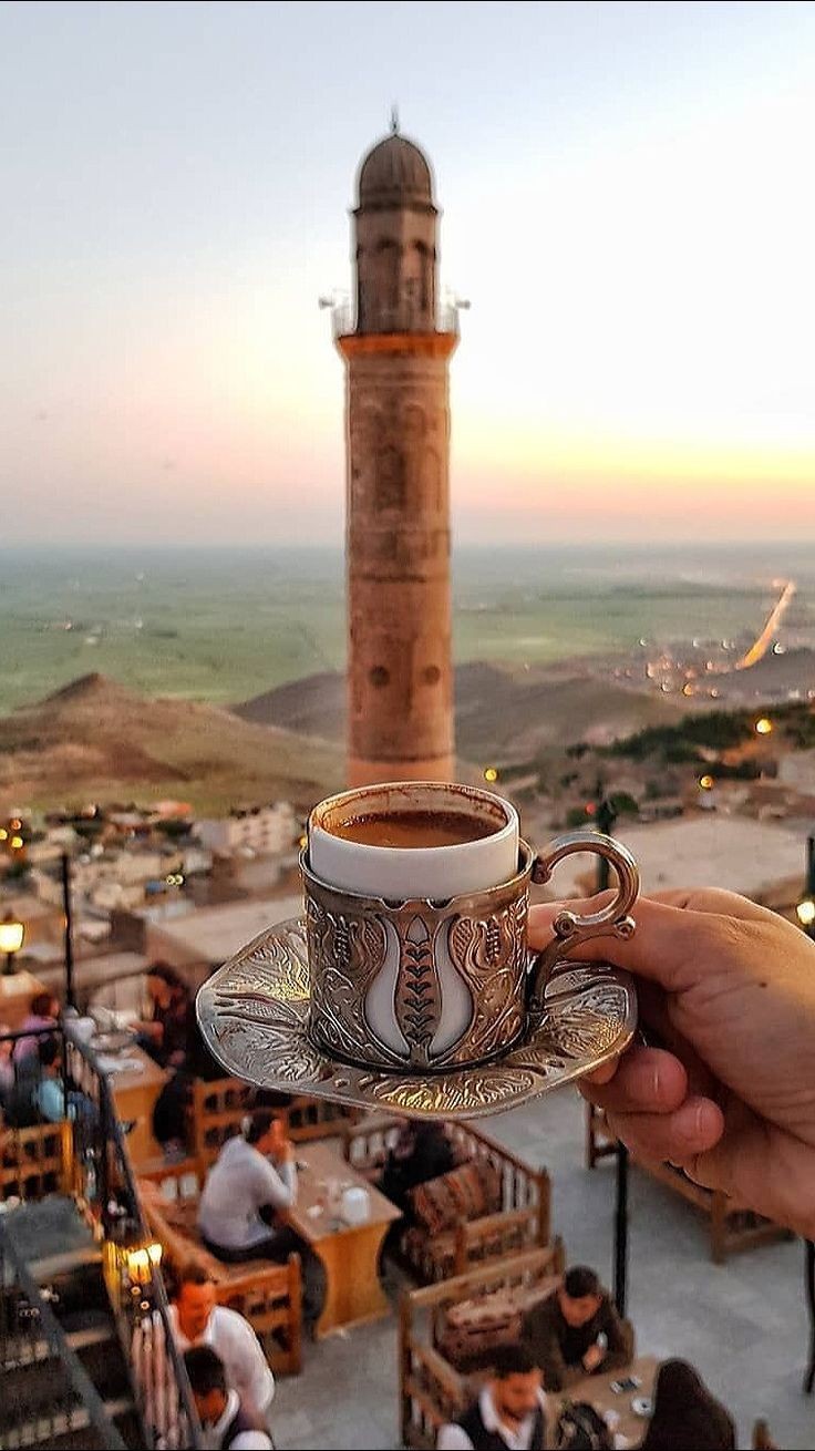 Roarcamp | MEZOPOTAMYA