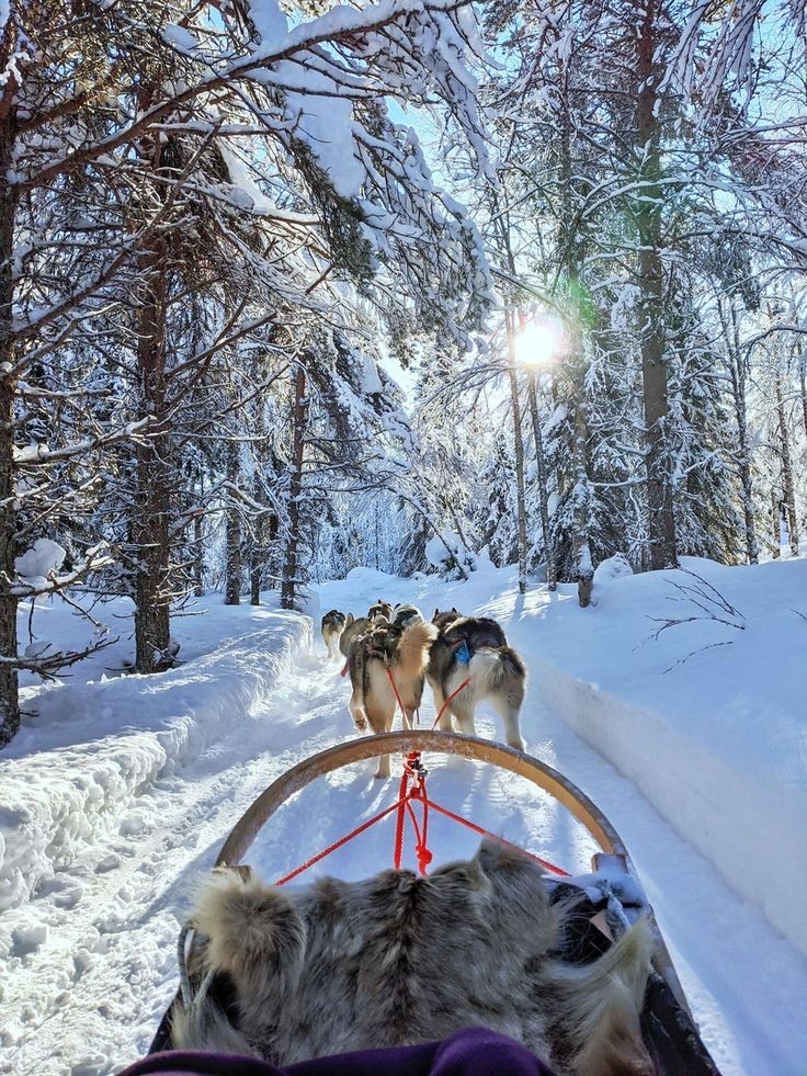 Roarcamp | KUZEY IŞIKLARI