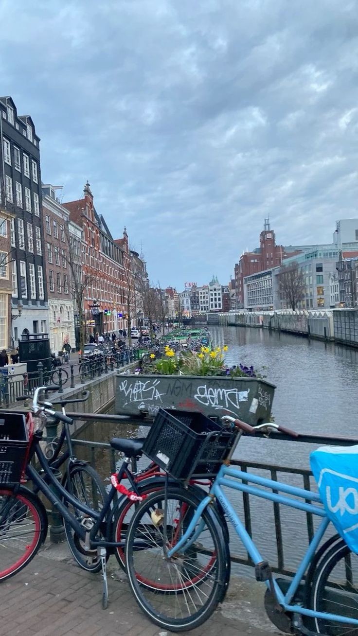 Roarcamp | İSKANDİNAVYA